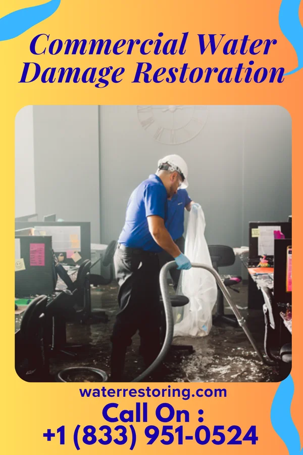 Commercial Water Damage Restoration in Kirkland, WA